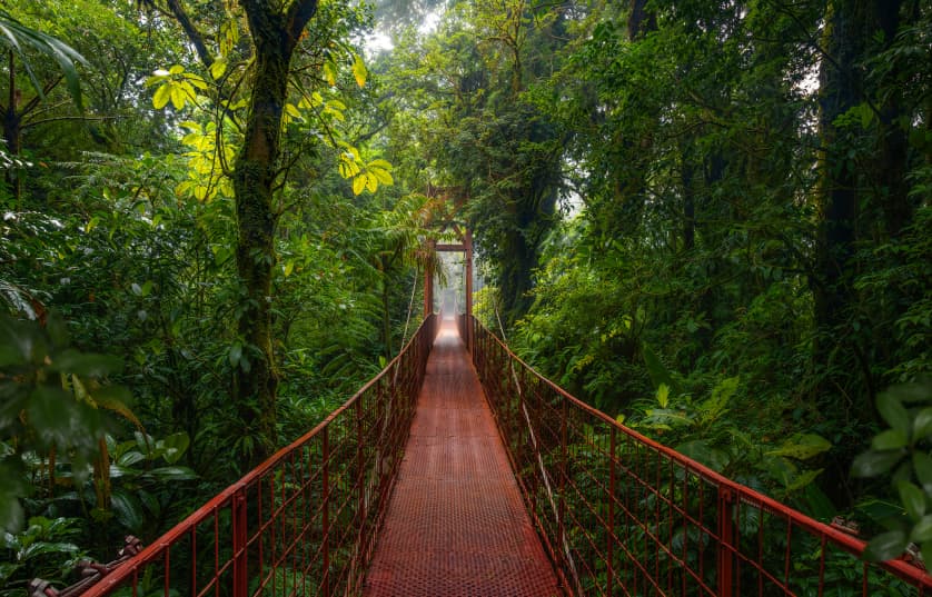 Red bridge crossing through lush green jungle in Costa Rica