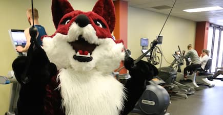 Sly Fox in fitness center