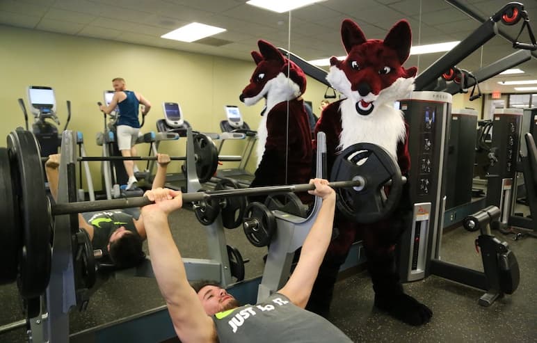 Sly Fox spotting person lifting weights