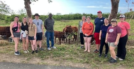people posing for picture in front of cows in field