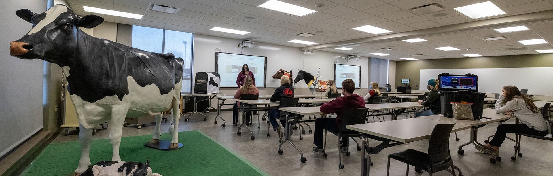 students in agriculture classroom with cow simulator