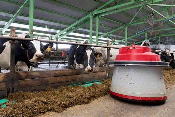 Emerging Field: Automation for the Dairy Industry
