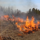 Wildland Firefighter Program Keeps Watch on LA Fires