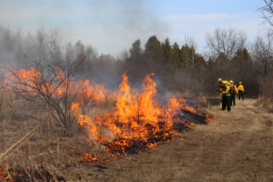 Wildland Firefighter Program Keeps Watch on LA Fires